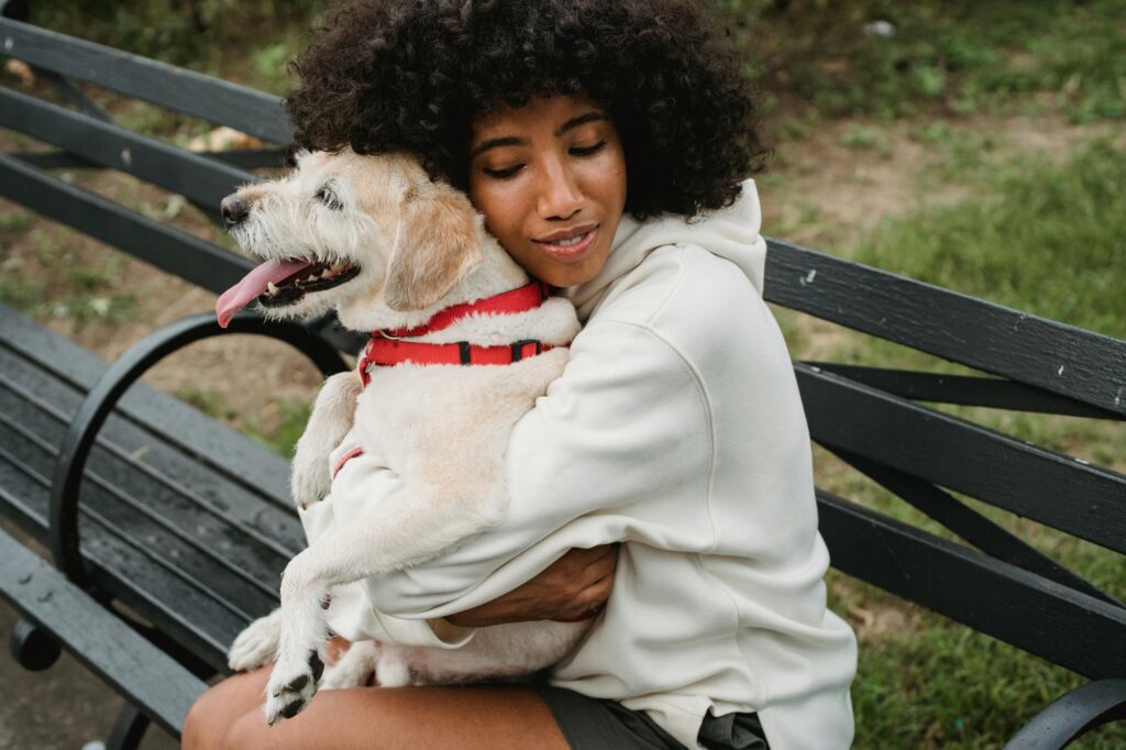 A pet and owner sitting on a bench in a dog-friendly park