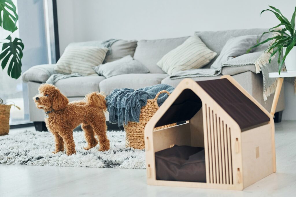 A cute puppy in a modern flat with its pet booth